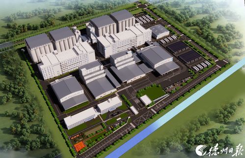 技术引领未来 德州陵城区技术开发与技术转让的探索与实践