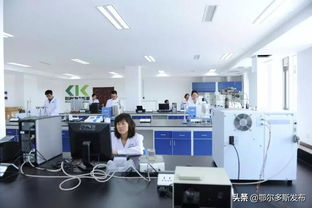 鄂尔多斯再出科技新政 技术开发与转让最高补贴3000万，赋能区域创新高地建设